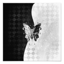 Zwei Ton-Schmetterling Photographie