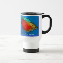 Zwergartiger Gourami durstiger Becher Teehaferl
