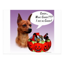 Zwergpinscher-Halloween-Süßigkeit Postkarten