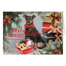 Zwergpinscher holt Weihnachtsgrüße Grußkarten