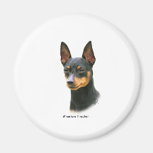 Zwergpinscher Magnete