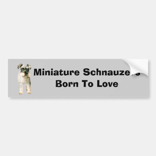 Zwergschnauzer-Autoaufkleber