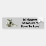 Zwergschnauzer-Autoaufkleber