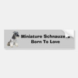 Zwergschnauzer-Autoaufkleber