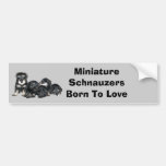 Zwergschnauzer-Autoaufkleber
