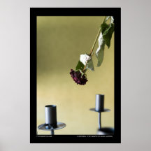 Zwischen Plakate