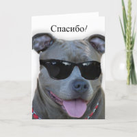 спасибо Russe danken Ihnen Pitbull Grußkarte
