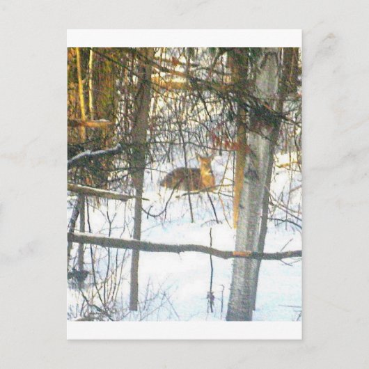 ґ ḯ ℯ ✐ ♏ tiℴtℯ postkarte (Vorderseite)