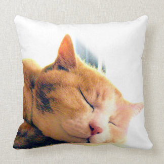 うちのかわいこちゃんのクッション KISSEN