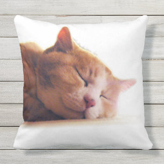 うちのかわいこちゃんのクッション KISSEN FÜR DRAUßEN