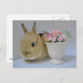 か わ い い さ ぎ う POSTKARTE (Vorne/Hinten)