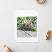 さいにれじ MITTEILUNGSKARTE (Vorderseite/Rückseite Beispiel)