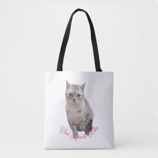 ちょっと招き猫 TASCHE (Vorderseite)