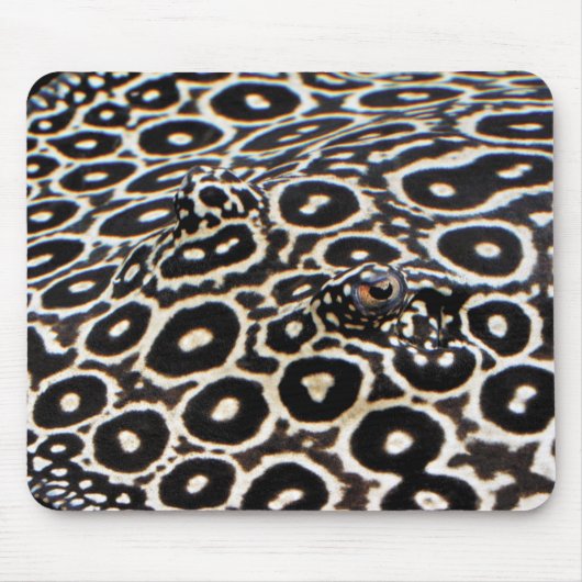 のウドス MOUSEPAD (Vorne)