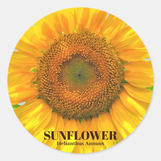 ひまわり RUNDER AUFKLEBER (Vorderseite)
