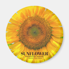 ひ ま わ り MAGNET