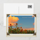 ひ ま わ り POSTKARTE (Vorne/Hinten)