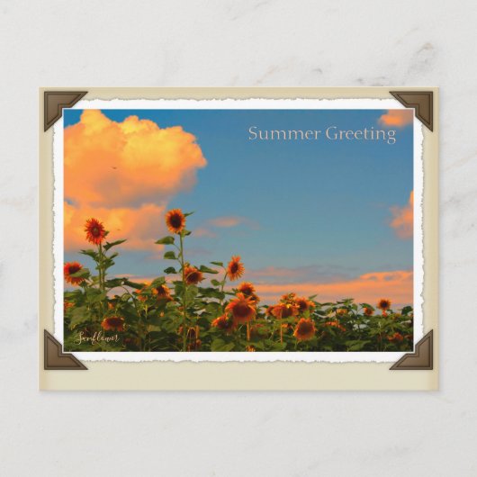 ひ ま わ り POSTKARTE (Vorderseite)