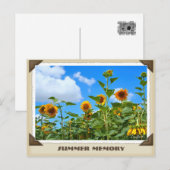 ひ ま わ り POSTKARTE (Vorne/Hinten)