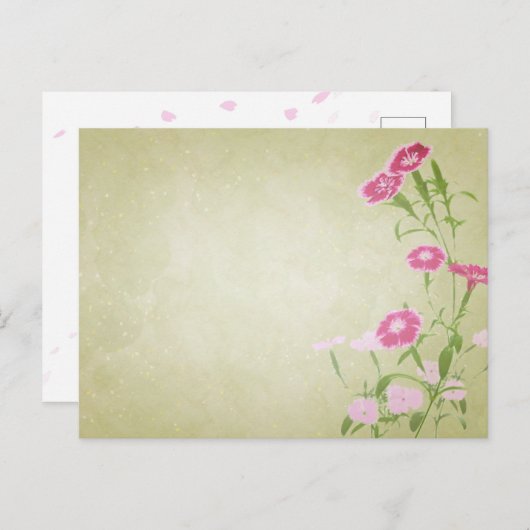 やさしさを届ける*撫子のポストカード POSTKARTE (Vorne/Hinten)