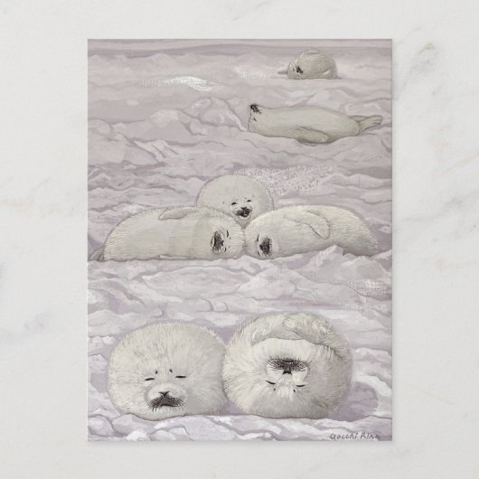 アザラシ四季シリーズ 冬 POSTKARTE (Vorderseite)