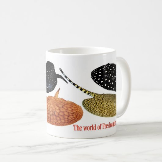 アマゾン淡水エイ KAFFEETASSE (VorderseiteRechts)