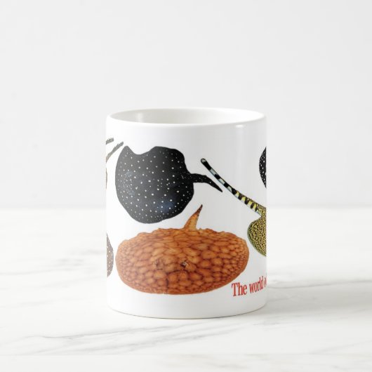 アマゾン淡水エイ KAFFEETASSE (Mittel)