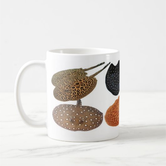 アマゾン淡水エイ KAFFEETASSE (Links)