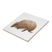 アルマジロ FLIESE (Seite)