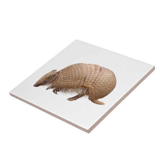 アルマジロ FLIESE (Seite)