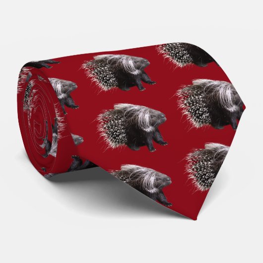 ア フ タ テ ガ ミ リ ab krawatte (Gerollt)