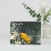 ウ ニ と 熱 魚 帯 POSTKARTE (Stehend Vorderseite)