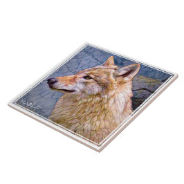 オ オ ミ ル FLIESE