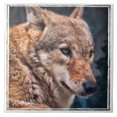 オ オ ミ ル FLIESE (Vorderseite)