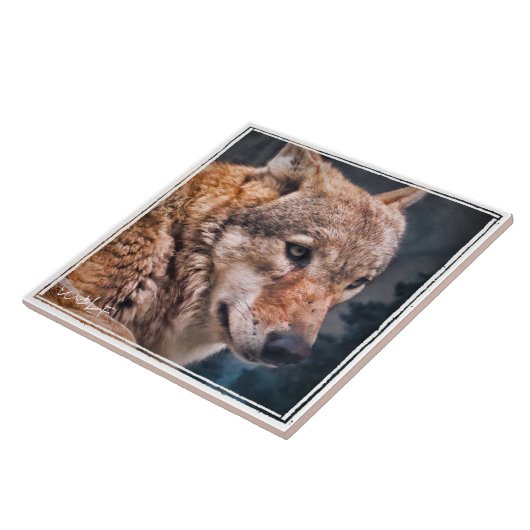 オ オ ミ ル FLIESE (Seite)