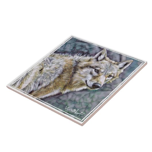 オ オ ミ FLIESE (Seite)