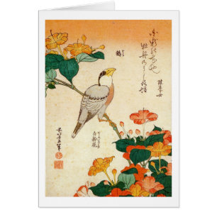 オ シ ロ に ナ 鳥, Jalapa und Mirabilia Jalapa, Hokusai