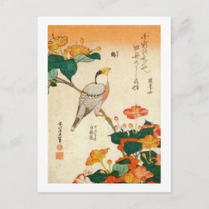 オ シ ロ に ナ 鳥, Jalapa und Mirabilia Jalapa, Hokusai Postkarte