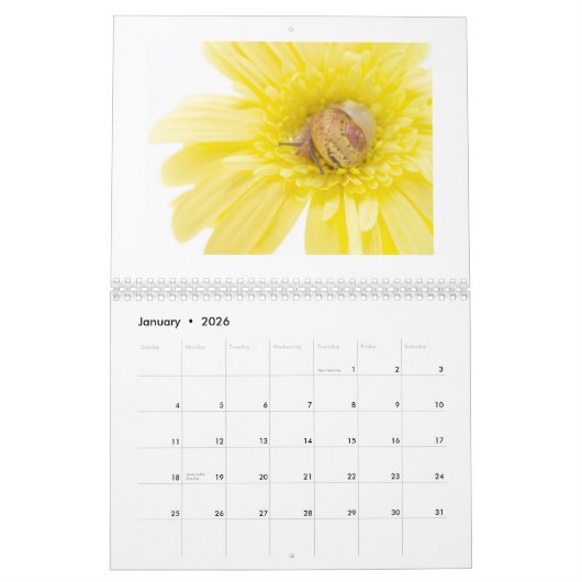 カレンダー KALENDER (Jan 2026)