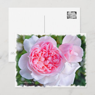 キ リ モ ス ・リ [die グ für die Einhaltung der Bedingung Postkarte