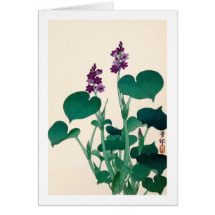 ギ ボ ウ の 花, 古 Lila blühende Herberge Ohara Koson