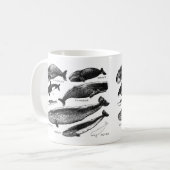 クジラの仲間 KAFFEETASSE (Vorderseite Links)