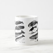 クジラの仲間 KAFFEETASSE (Mittel)