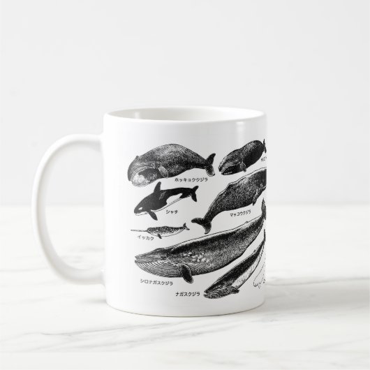 クジラの仲間 KAFFEETASSE (Links)