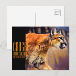 クーガー POSTKARTE