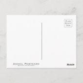 クーガー POSTKARTE (Rückseite)