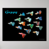グッピーのポスター POSTER (Vorne)