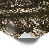 グロッシーポスター POSTER (Ecke)