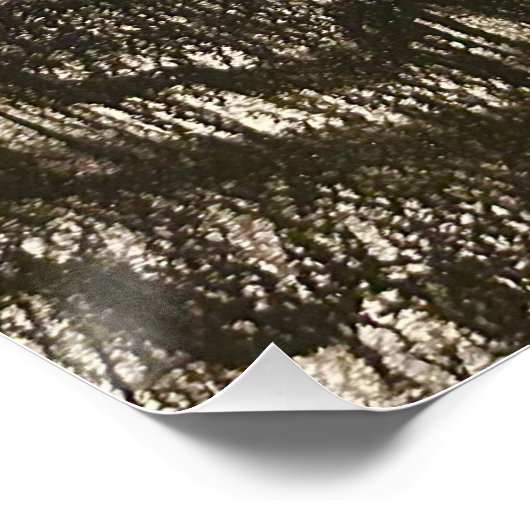 グロッシーポスター POSTER (Ecke)