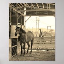 ケイメイ牧場 グラマーちゃん まるで置き物